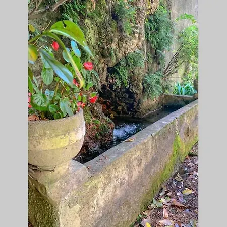 Luxury Appartament In Sofia / Lake Acces / Garden ヴァレンナ